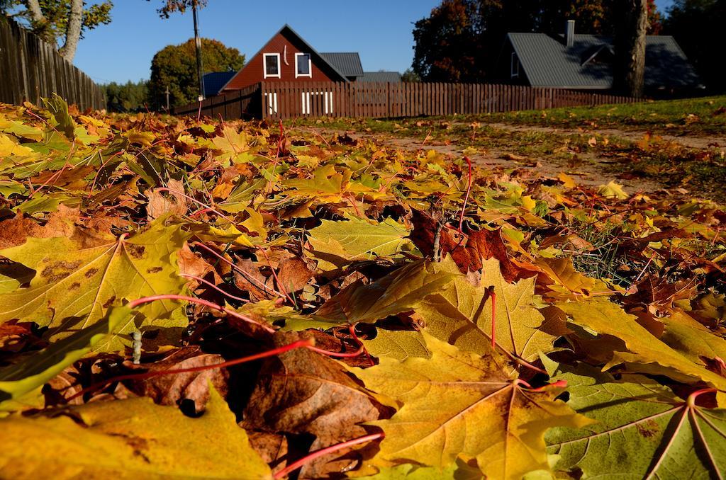 Dzukijos Uoga Pensionat Virsurodukis Værelse billede